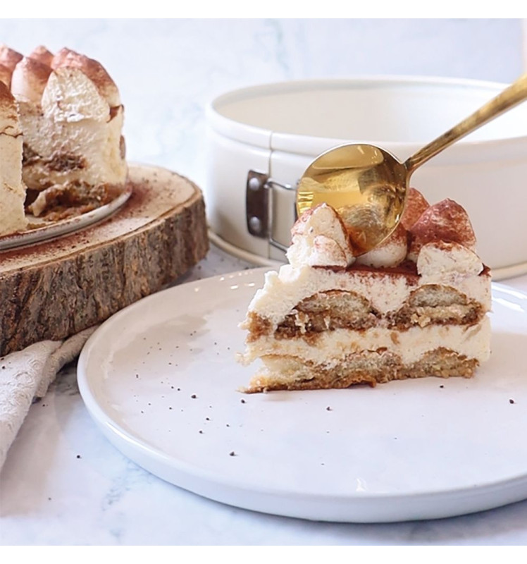 Moule à charnière Acier Antiadhésif Ø22 cm