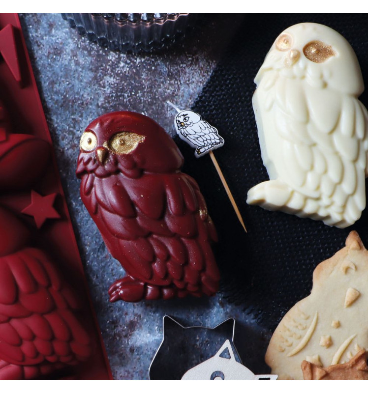 Moule silicone multi Sorcier