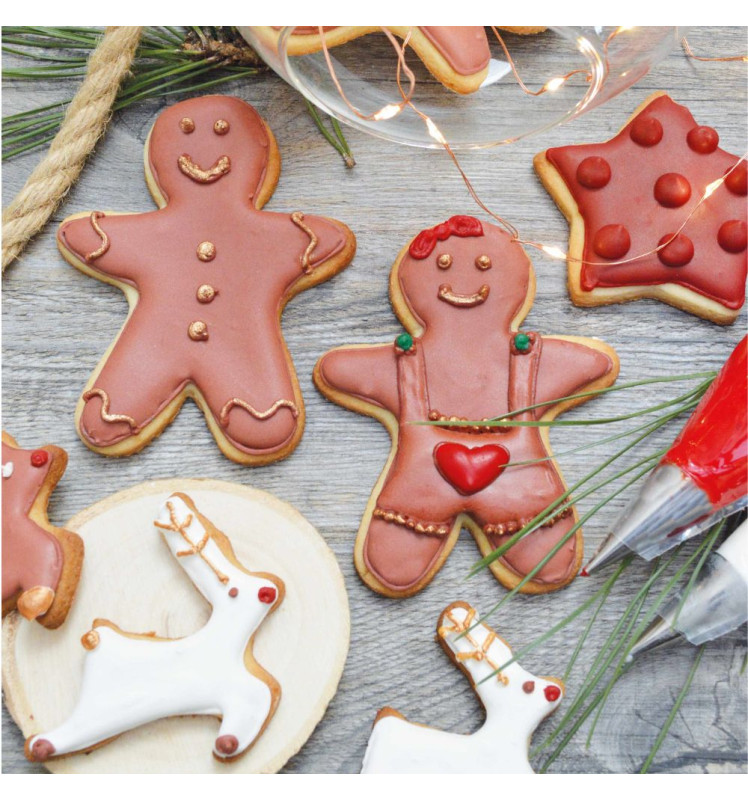 3 colorants en poudre Noël vert, rouge, doré