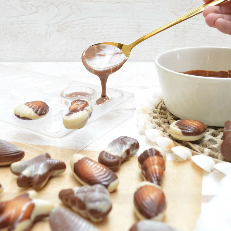 Moule rigide chocolat friture