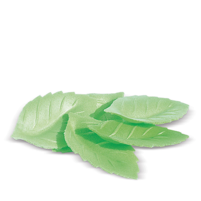 Décos azymes 24 feuilles vertes