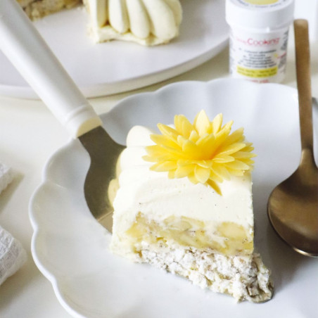 Moule 3D céleste entremets ananas - ScrapCooking