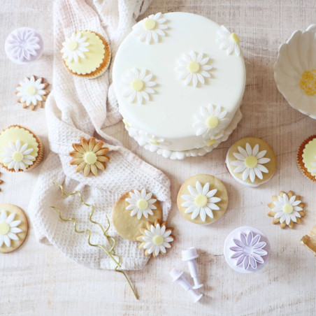 Gâteau décoré de marguerites sucrées ScrapCooking®