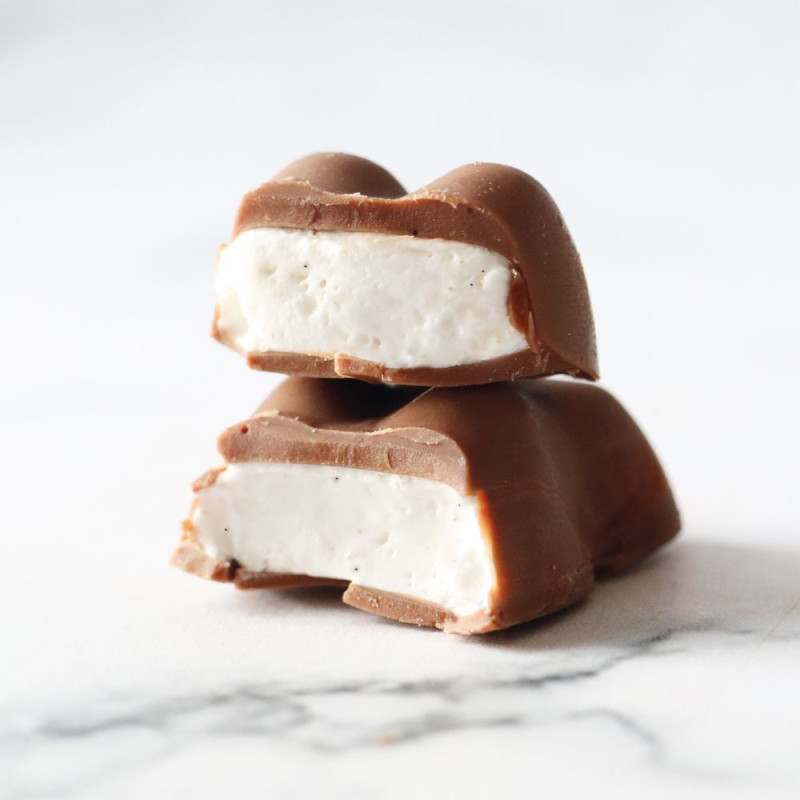 Smores teddy bear divided in half