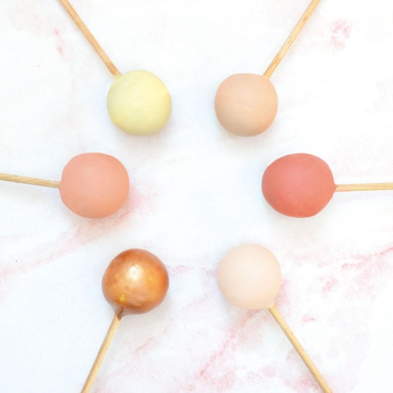 20 Cake pop sticks