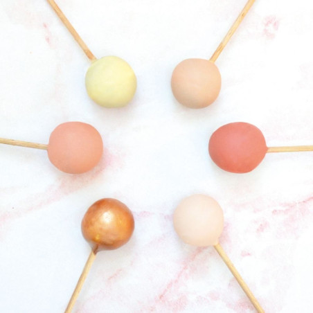 Ambiance bâtonnets pour cake pops - ScrapCooking®