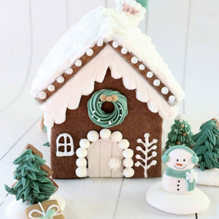 Gingerbread house cookie cutter kit
