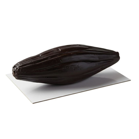 Vanilla pod illusion cake