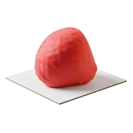 Strawberry realistic illusion cake