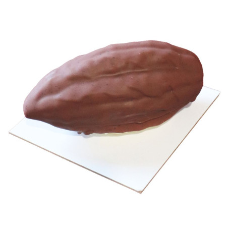 Entremet trompe l'œil cabosse de cacao