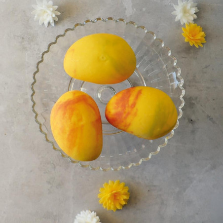 Ambiance trompe-l’œil mangue - ScrapCooking