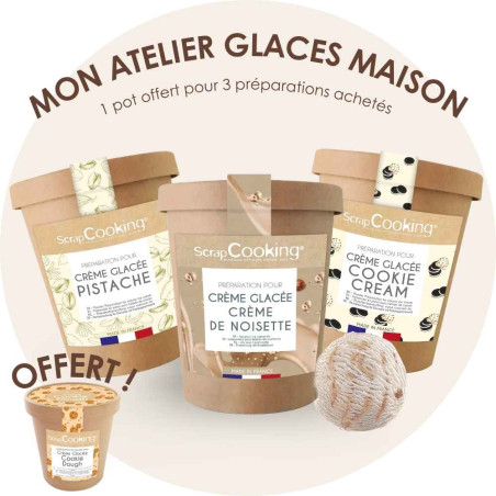 Easy to make ice cream mixes pack - 4 in 1 | ScrapCooking®