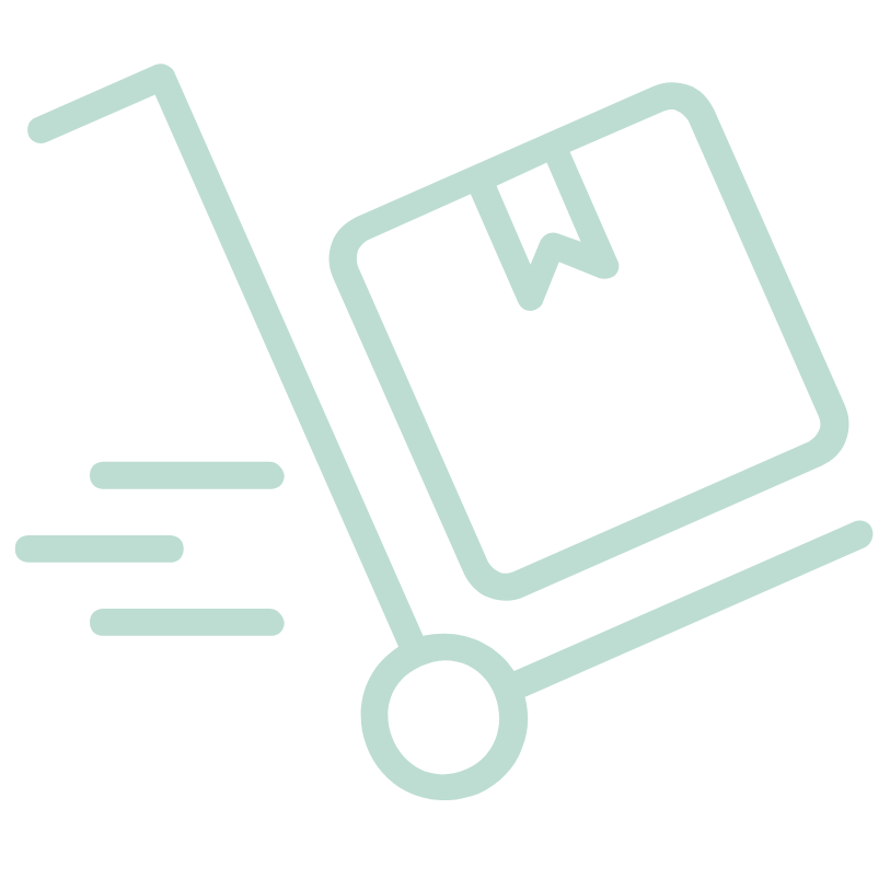 PICTO LIVRAISON RAPIDE