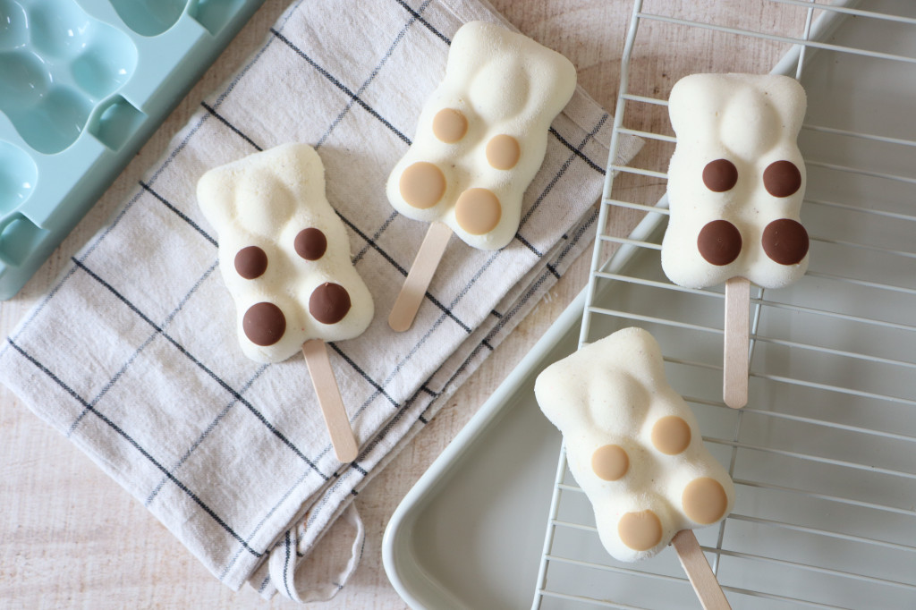 2 recettes glaces esquimaux chocolat et vanille