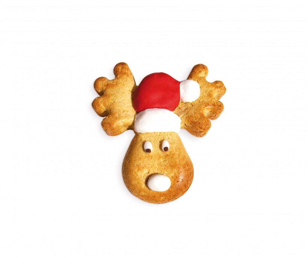 Recette gâteau élan de Noël