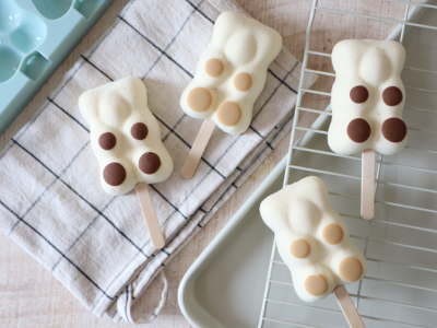 2 recettes glaces esquimaux chocolat et vanille